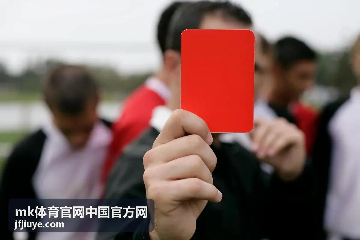 mk体育官网中国官方网会员权益等级说明封面